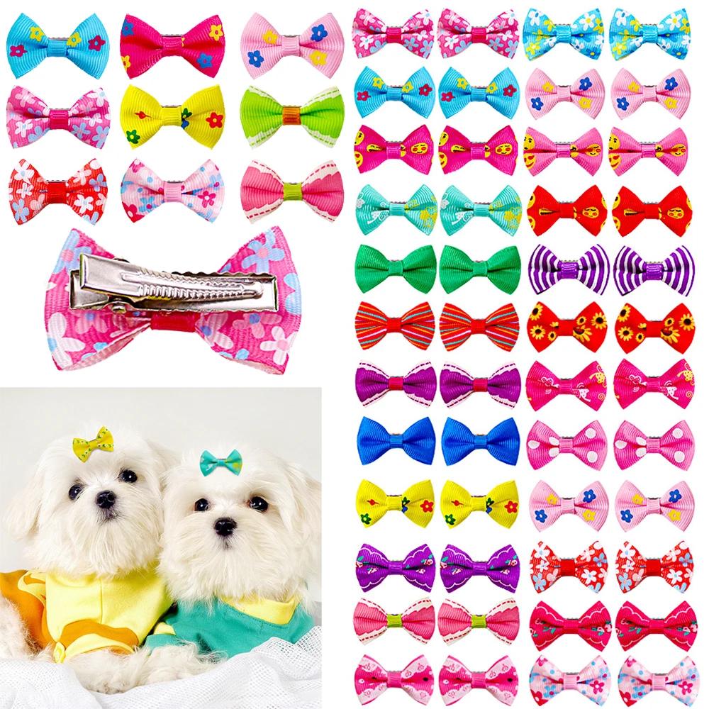 10/20/30Pcs Ϳ   Ŭ  Ӹ ֿ    Ӹ ֿ   ׼ ٻ